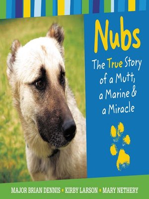 cover image of Nubs